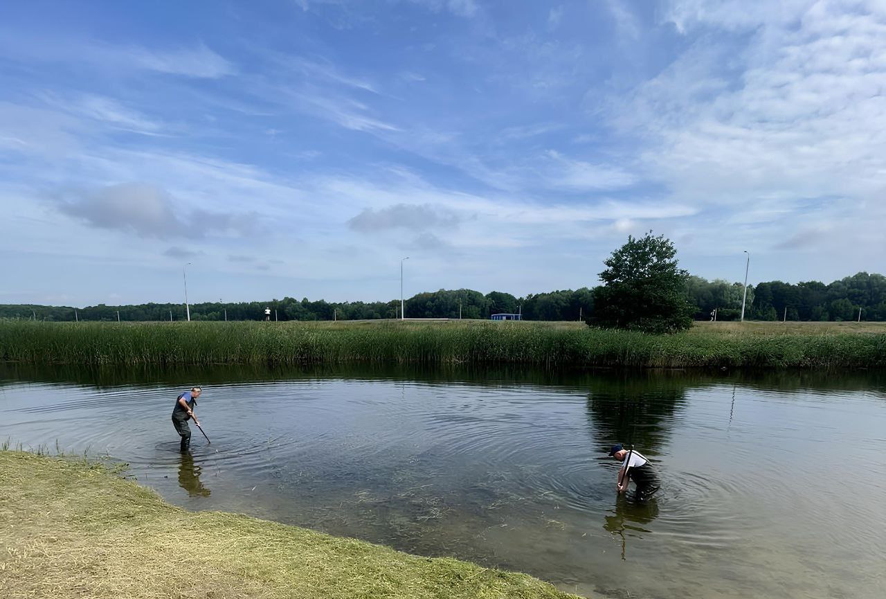 Лопаты и грабли в деле: в Бресте производят очистку акватории пляжа Гребного канала от водорослей