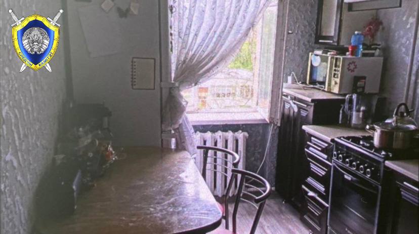 Годовалый ребенок выпал из окна пятого этажа в Могилеве