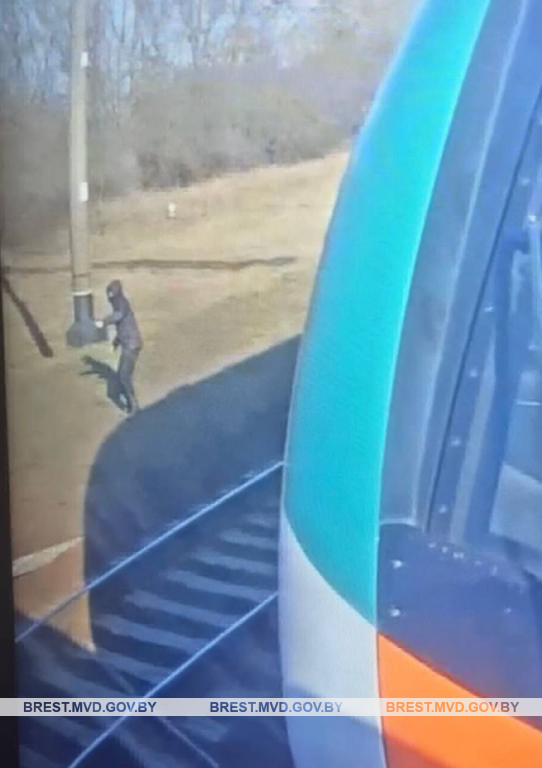 Школьник из Брестского района бросил камень в поезд — к чему это привело