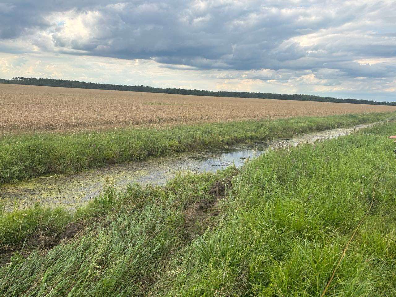 Автомобиль ушел под воду: женщина погибла в ДТП под Пинском