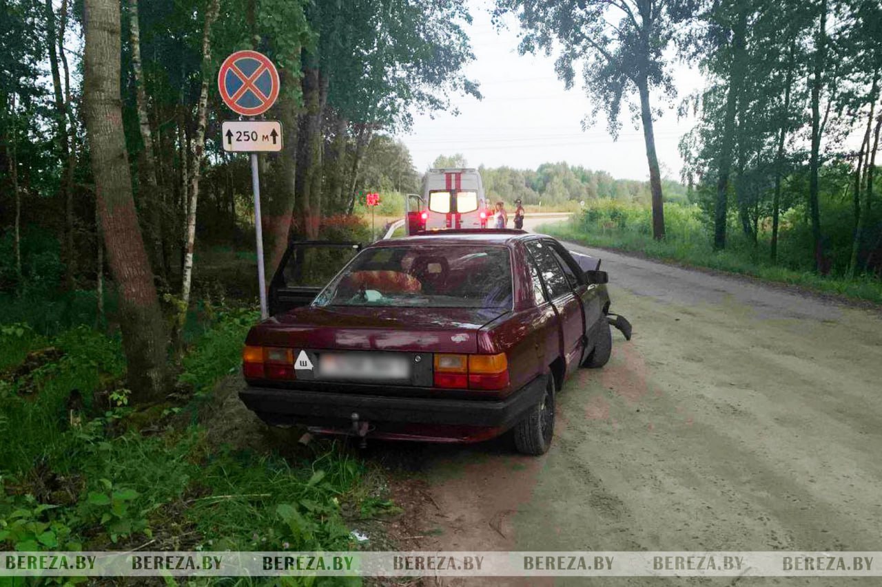В Белоозёрске водитель Audi врезался в дерево