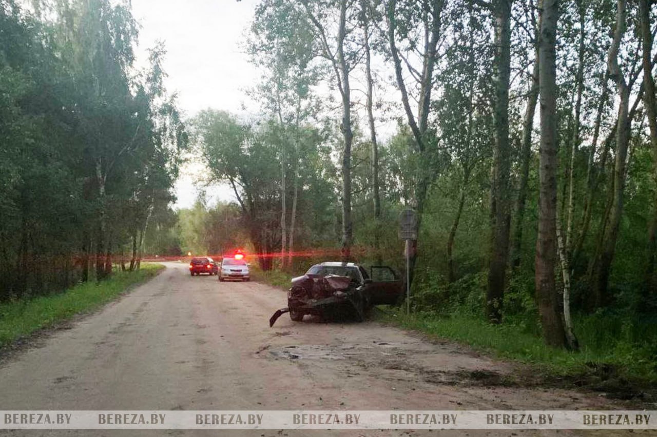 В Белоозёрске водитель Audi врезался в дерево