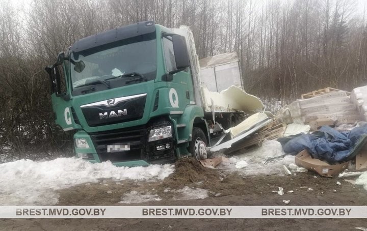Косуля стала причиной ДТП  в Брестской области