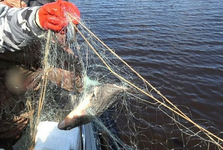 Фото из открытых источников (иллюстративное)