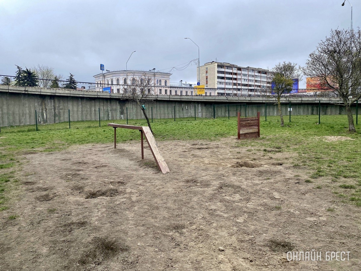 Кошки и собаки по закону: разбираемся с зооцентрами «Доктор Хвостов» в правилах содержания домашних животных. Регистрация, налоги, выгул