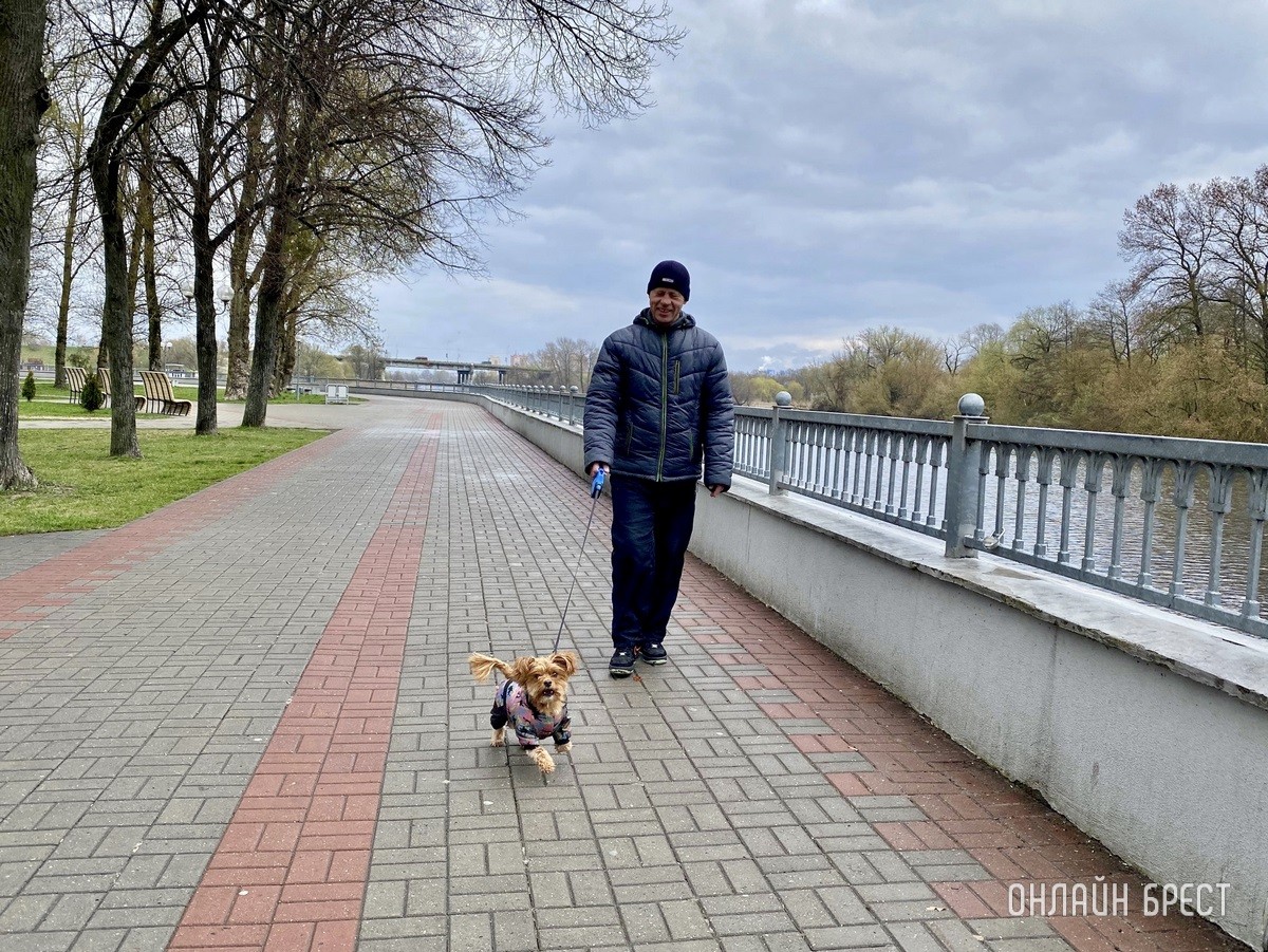 Кошки и собаки по закону: разбираемся с зооцентрами «Доктор Хвостов» в правилах содержания домашних животных. Регистрация, налоги, выгул