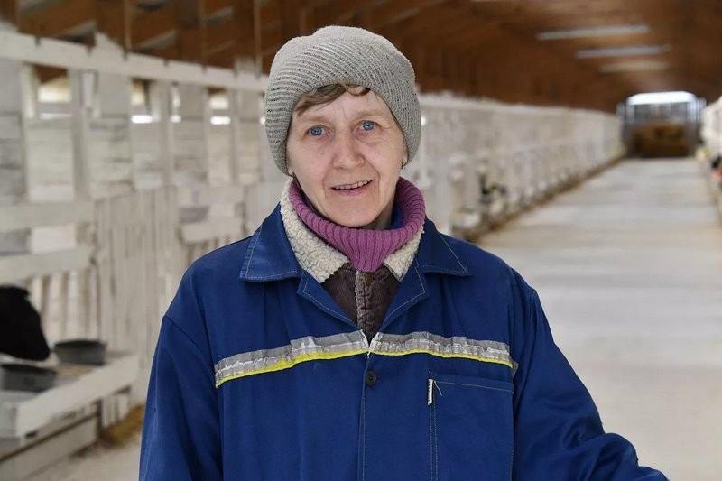 Эксперимент по-белорусски: в одном из колхозов коровам подливают колу