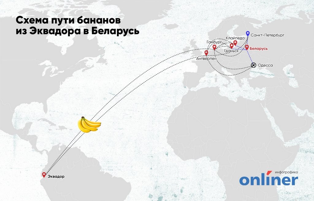 Не понимаете, почему фрукты стали такими дорогими? Взгляните на их путь в Беларусь