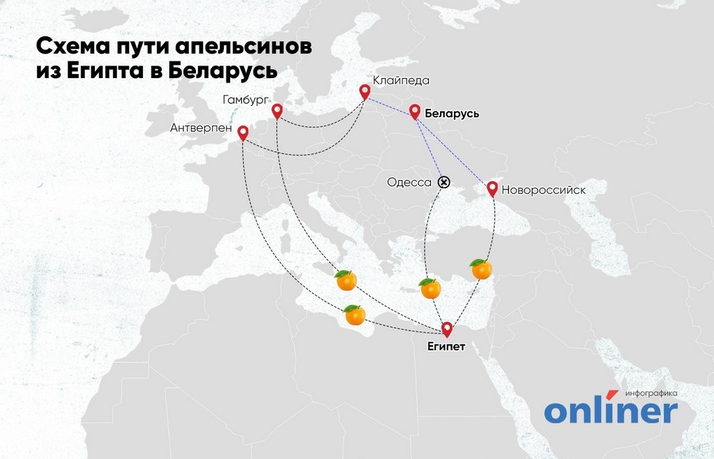 Не понимаете, почему фрукты стали такими дорогими? Взгляните на их путь в Беларусь