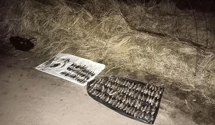 В Брестской области задержали браконьеров