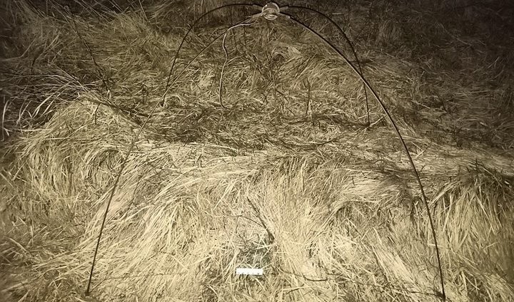 В Брестской области задержали браконьеров