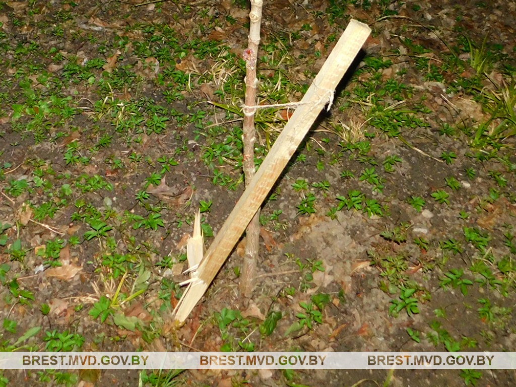 В Каменецком районе правоохранители установили вандалов, попытавшихся уничтожить результаты субботника