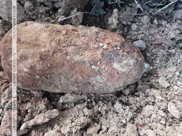 Житель Брестской области нашел в огороде снаряд времен ВОВ