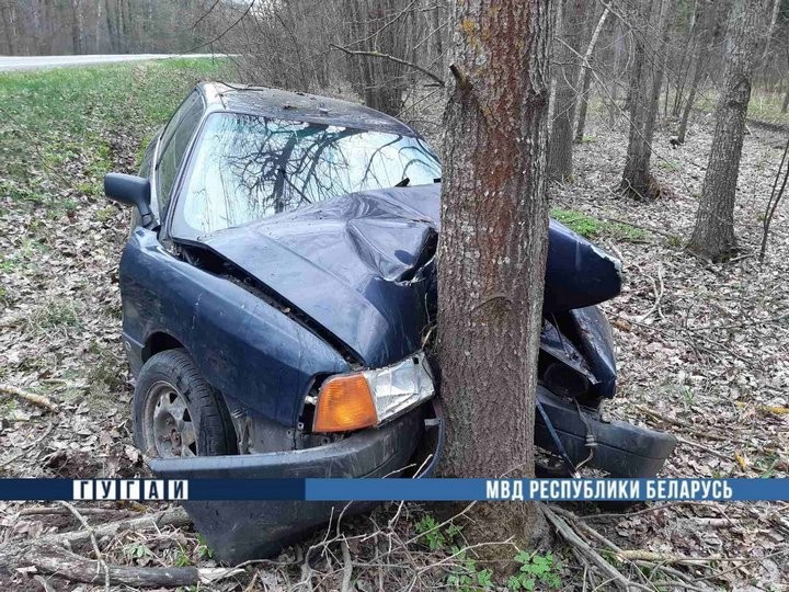 В Кобринском районе водитель «Ауди» уснул и врезался в дерево