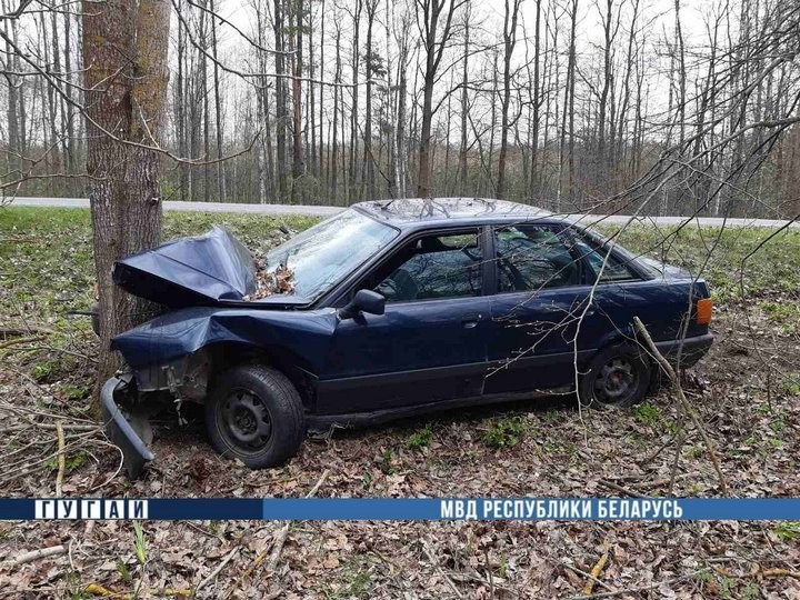 В Кобринском районе водитель «Ауди» уснул и врезался в дерево