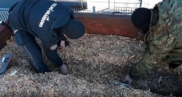 Таможня в Тересполе: пресечен ряд попыток контрабанды сигарет из Беларуси