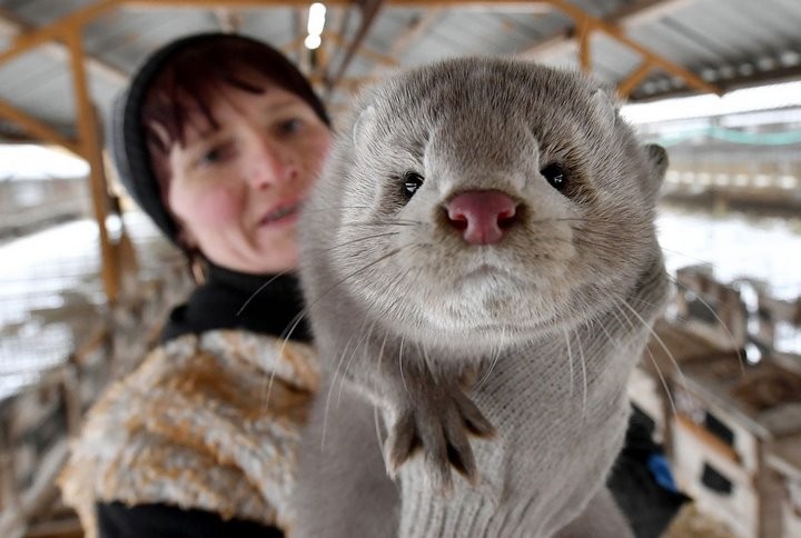 Фото из открытых источников (иллюстративное)