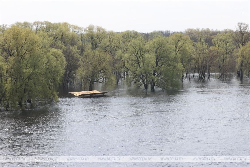 Паводок в Гомеле. Фотофакт