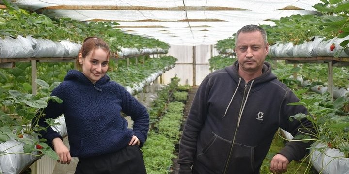 «Если все продам, заработаю чистыми 6 тысяч рублей». Как прораб бросил все и занялся рассадой