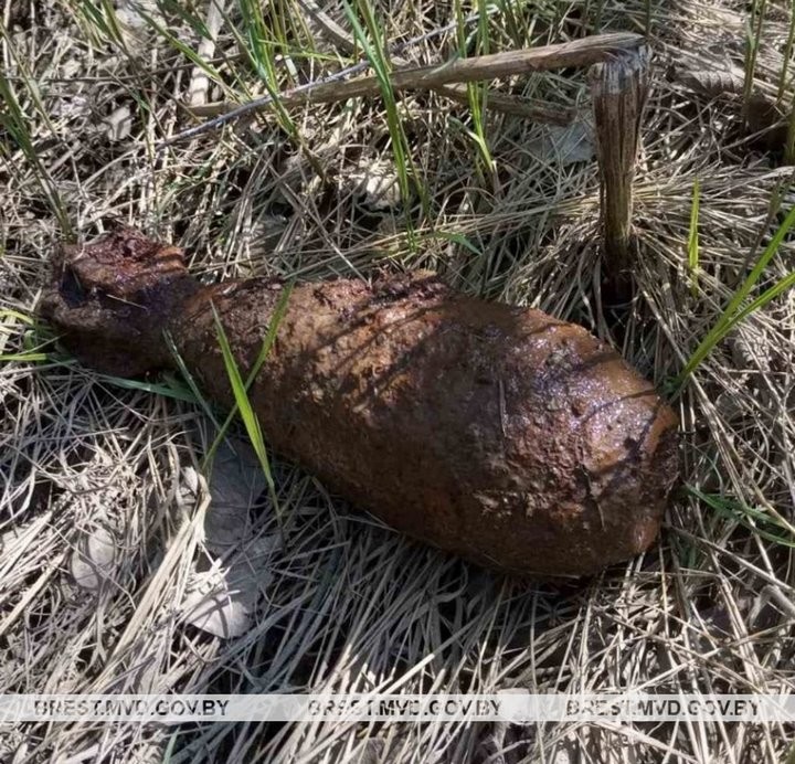 Снаряды времен ВОВ нашли в Барановичском и Каменецком районах