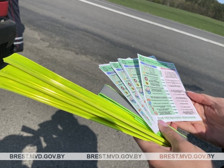 ГАИ на трассе М1 под Брестом останавливала транзитный транспорт. С какой целью?