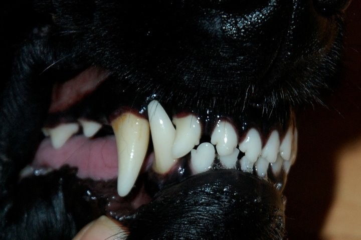 Фото из открытых источников (иллюстративное)