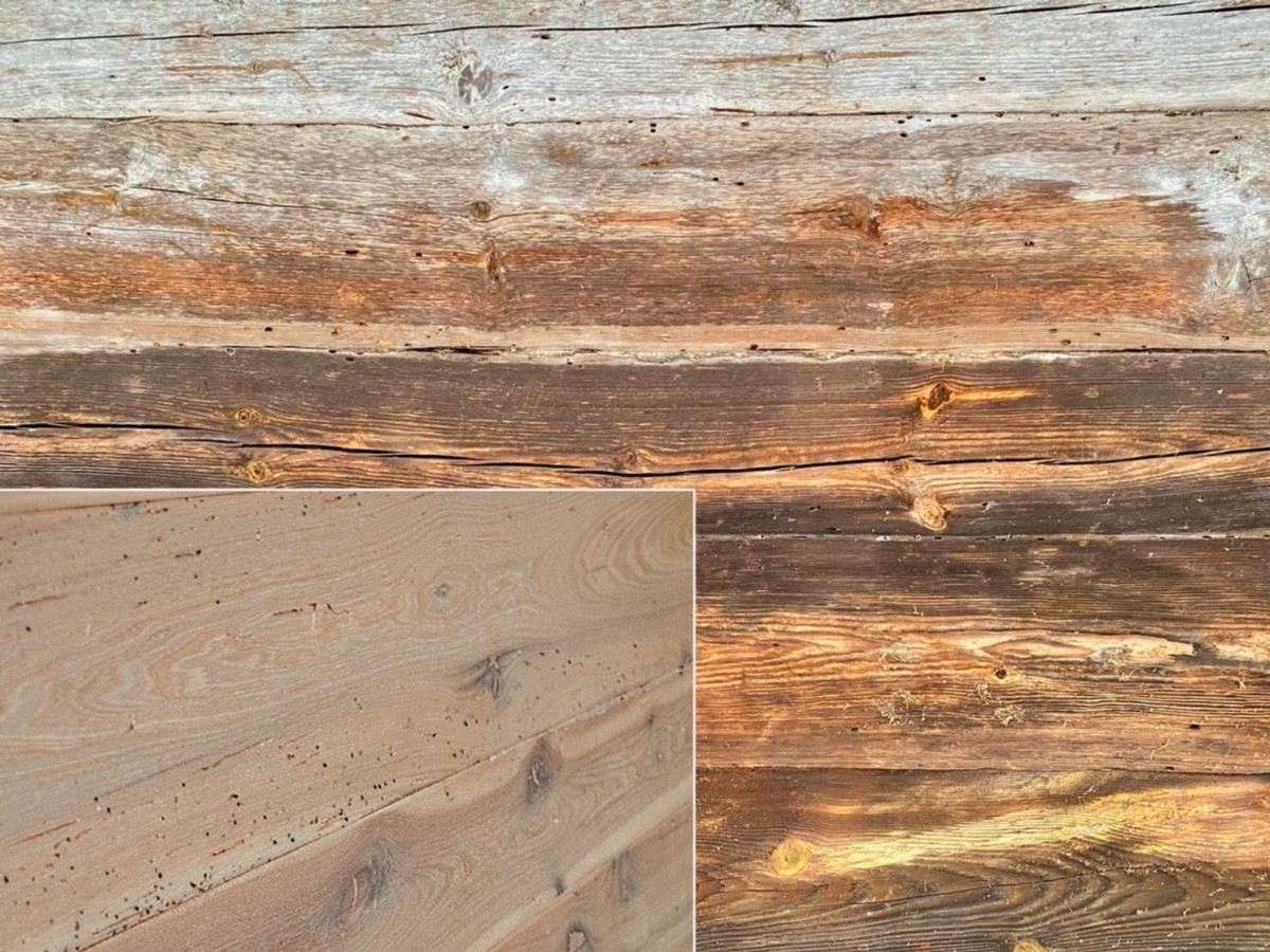 Индивидуальный подход и качественный сервис! Эти популярные услуги в Бресте определенно вам пригодятся