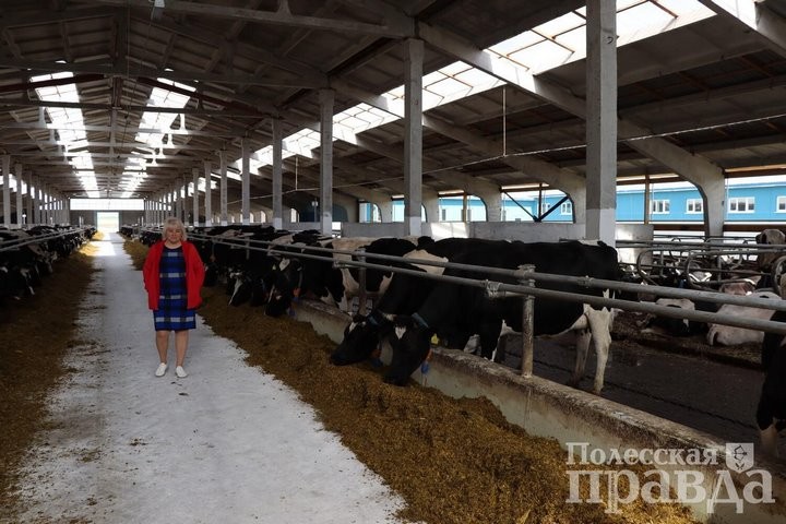 В ОАО «Охово» торжественно открыли новую молочно-товарную ферму в Колодеевичах (Брестская область)