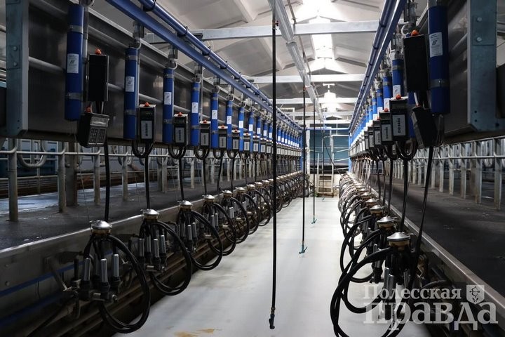 В ОАО «Охово» торжественно открыли новую молочно-товарную ферму в Колодеевичах (Брестская область)