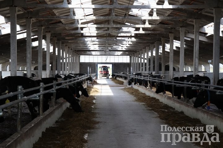 В ОАО «Охово» торжественно открыли новую молочно-товарную ферму в Колодеевичах (Брестская область)