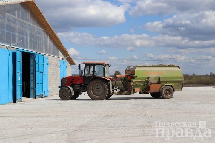 В ОАО «Охово» торжественно открыли новую молочно-товарную ферму в Колодеевичах (Брестская область)