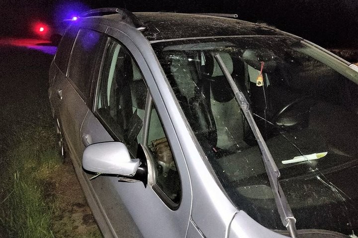 Cпасая от гибели лося, водитель Peugeot перевернулся в кювете. Видео