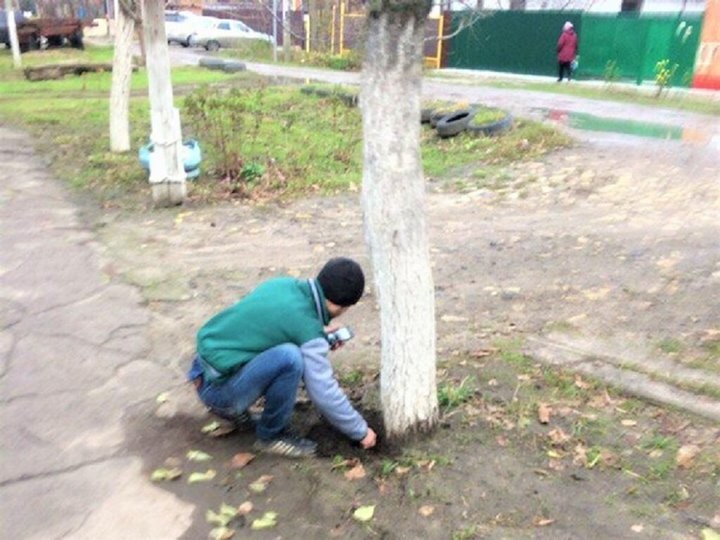 Фото из открытых источников (иллюстративное)