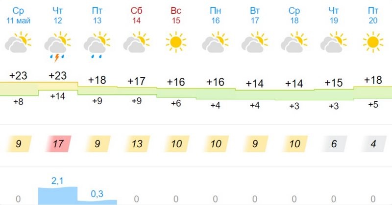 Какая погода ждет жителей Бреста на предстоящей неделе