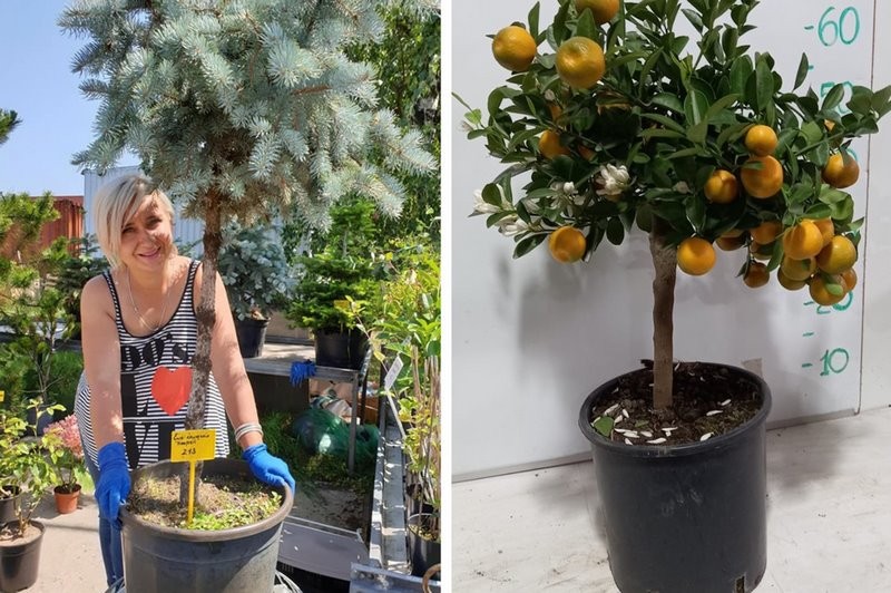 5 необычных услуг, на которых зарабатывают белорусы