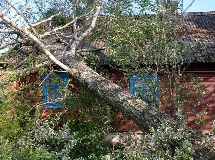 Сильный ветер повредил здания Домановской средней школы (Брестская область)
