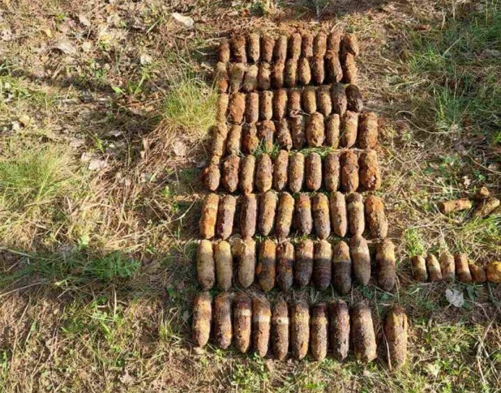 Житель Брестской области нашел в лесу арсенал боеприпасов 