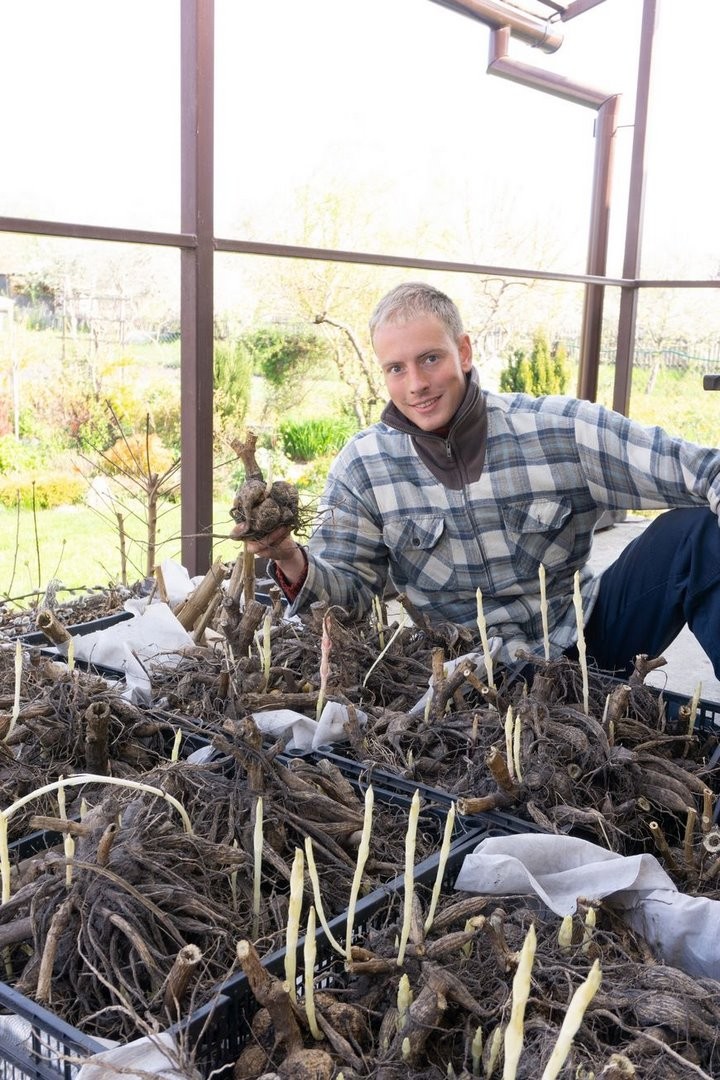 Блогер Кирилл Кветка создает цветущий сад в Брестском техническом университете
