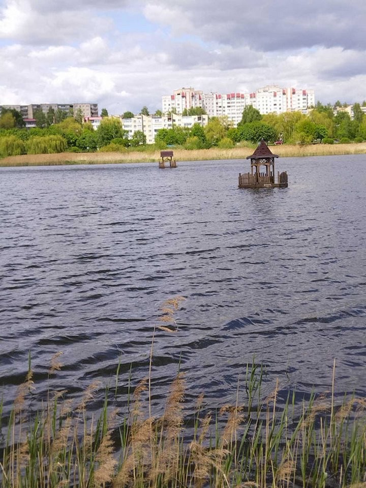 В Барановичах сделали домики для птиц