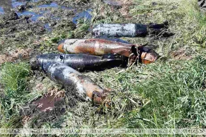 Авиационные снаряды обнаружены недалеко от д. Угляны (Брестская область)