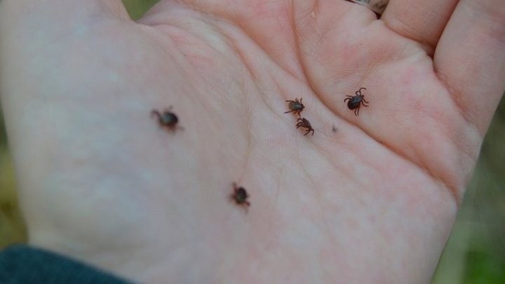 Фото из открытых источников (иллюстративное)