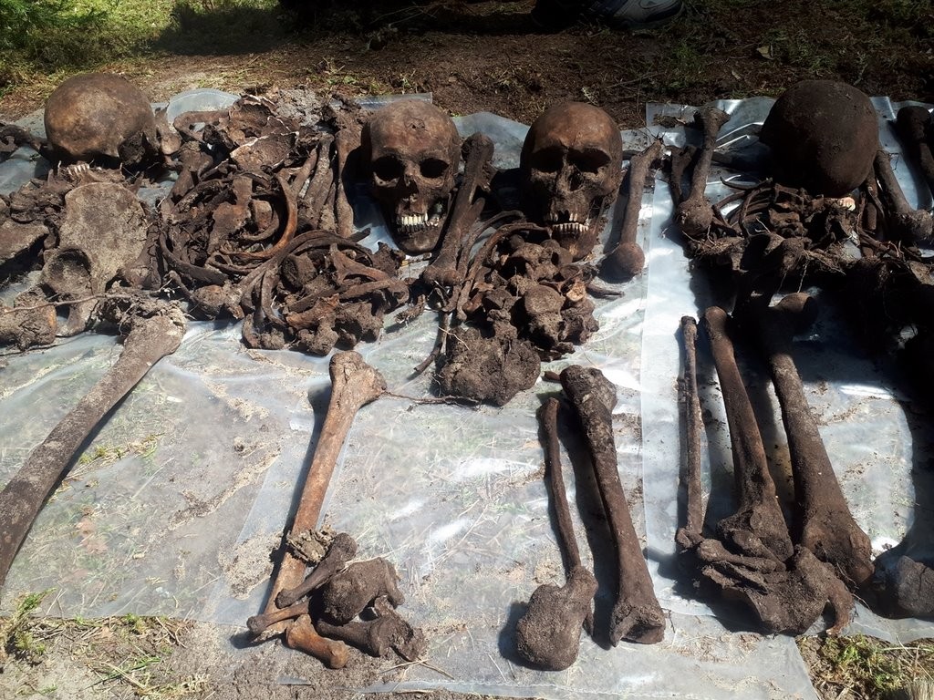 У деревни Тартаки Барановичского района ведутся поисковые работы на месте массового захоронения жертв фашизма