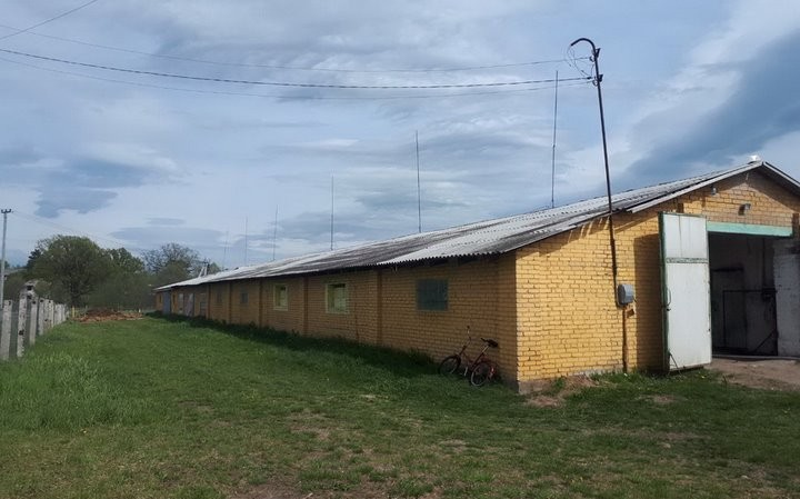 В Брестской области при пожаре на ферме эвакуировали 75 телят