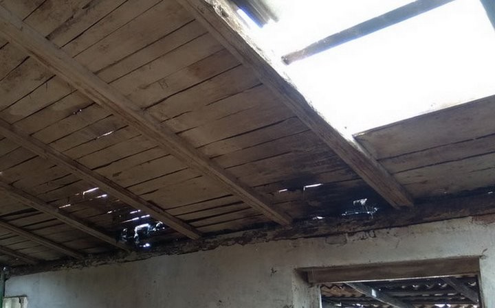 В Брестской области при пожаре на ферме эвакуировали 75 телят