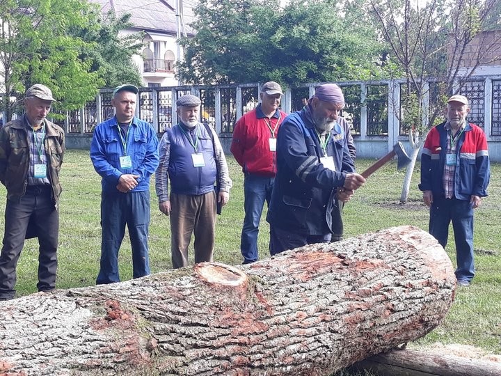 Библия, синагога, монетный двор: в Бресте стартовал пленэр резчиков