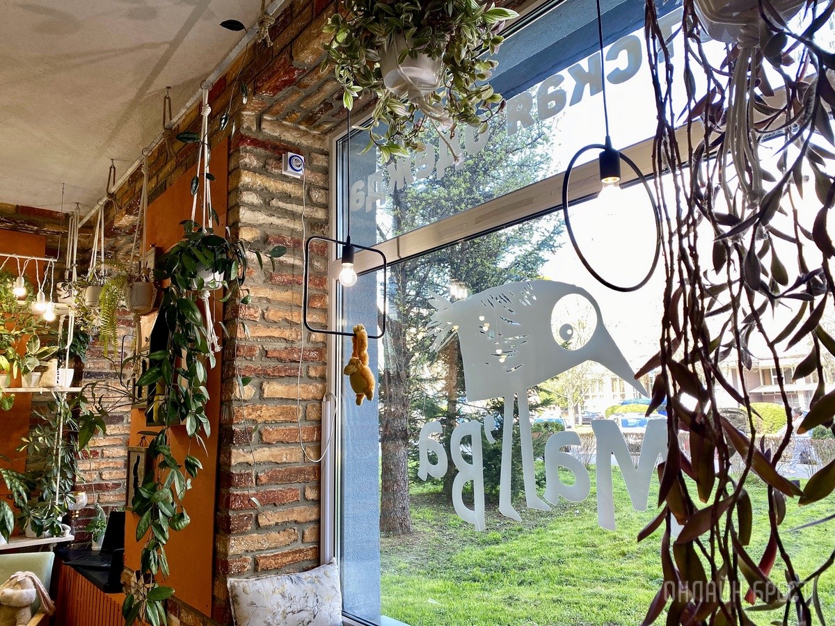 Это точно понравится детям! «МАЛЬВА» – уютный и атмосферный магазин детской одежды в Бресте