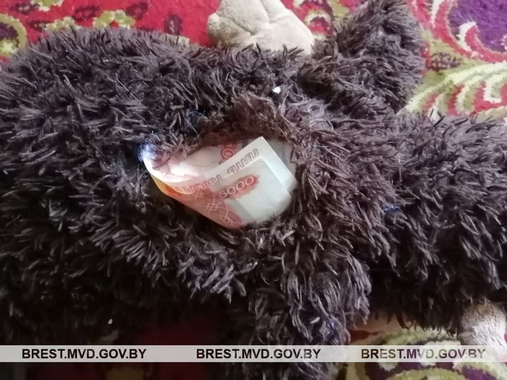 Похищенные деньги бизнес-леди в Брестском районе нашли зашитыми в мягкой игрушке