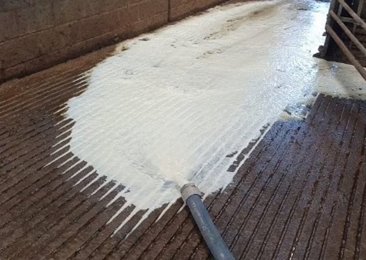 Фото из открытых источников (иллюстративное)