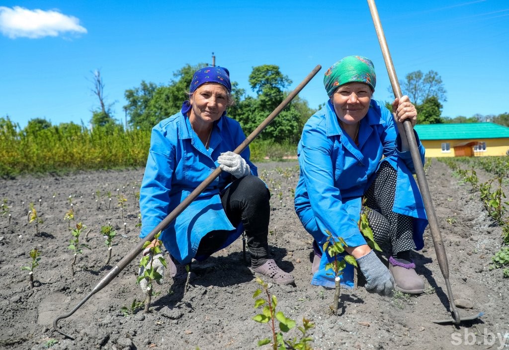 Один раз в год... Как под Брестом цветут сады