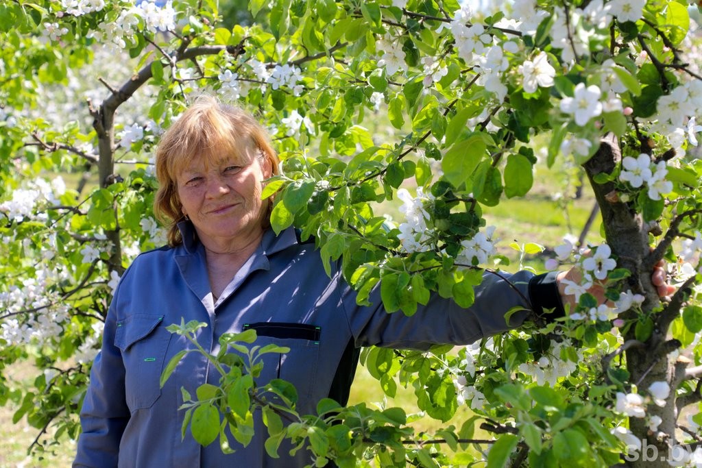 Один раз в год... Как под Брестом цветут сады